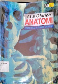 Image of At a Glance Anatomi