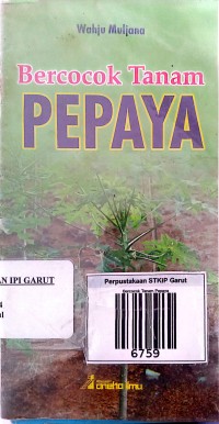 Image of Bercocok Tanam Pepaya