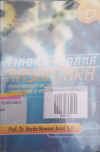 Image of Tindak Pidana Mayantara