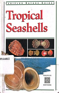 Image of Tropical Seashells
